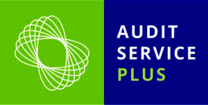 Audit Service Plus