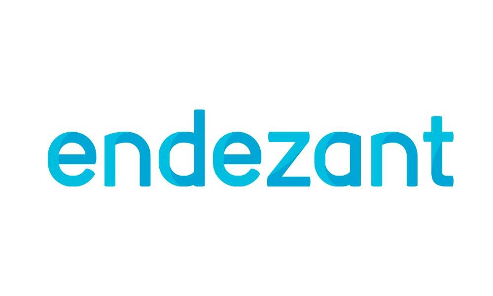 Endezant Accountants & Adviseurs