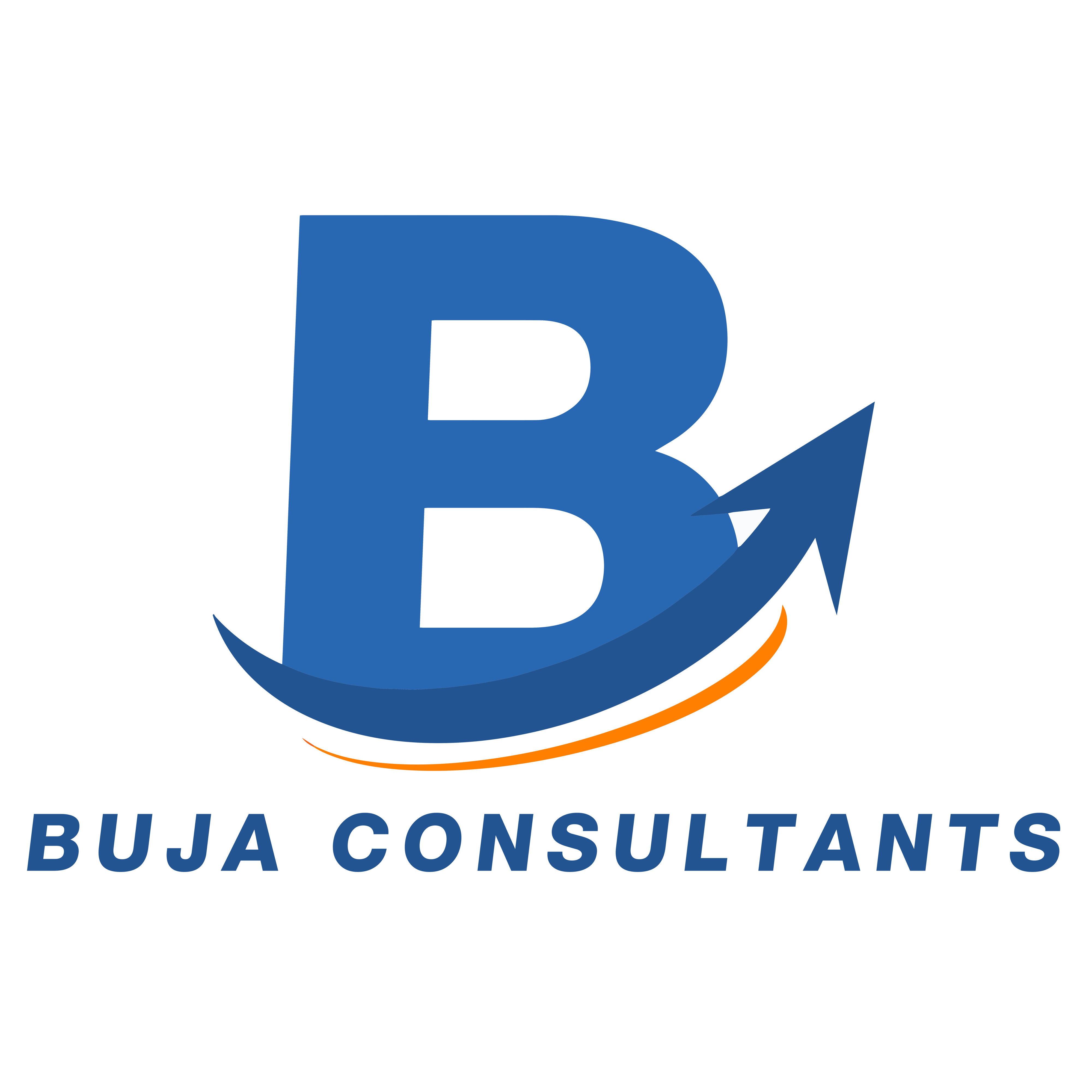 buja accountants