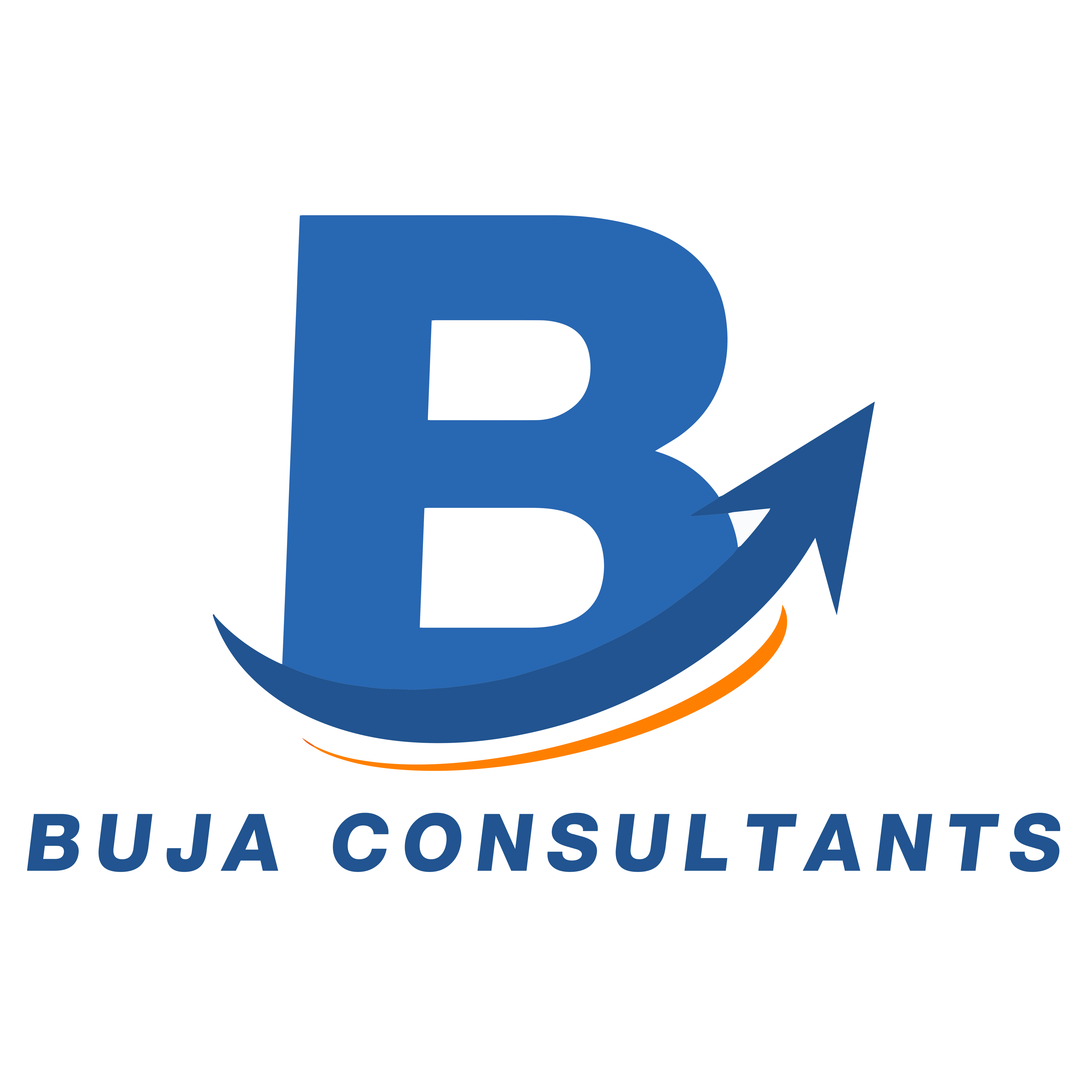 BUJA consultants